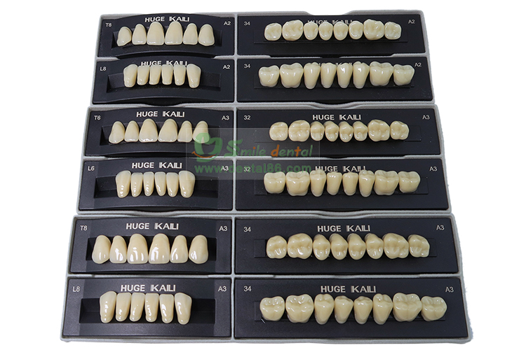 H201 Synthetic Resin Teeth KAILI